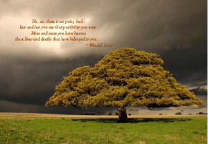 wedell berry poem